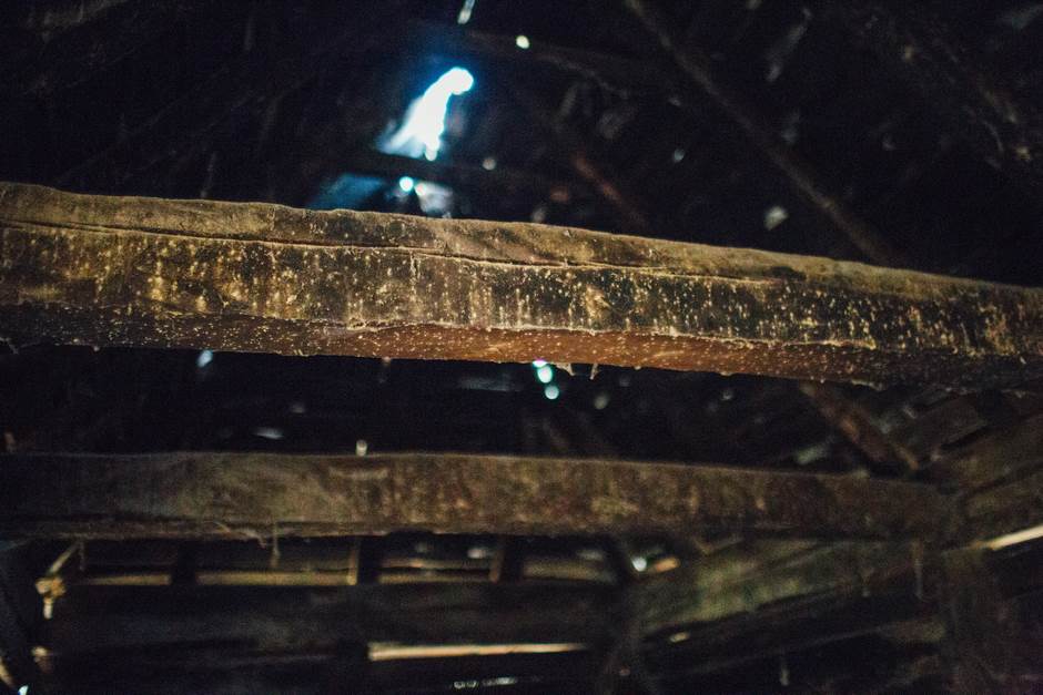 vampir sava savanovic svadja dva sela 