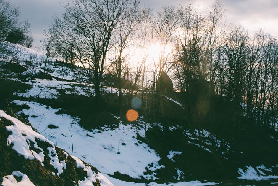 vampir sava savanovic svadja dva sela 