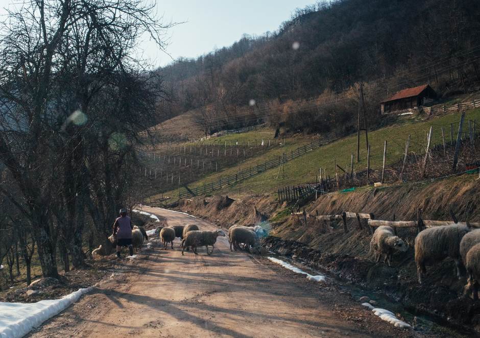 vampir sava savanovic svadja dva sela 