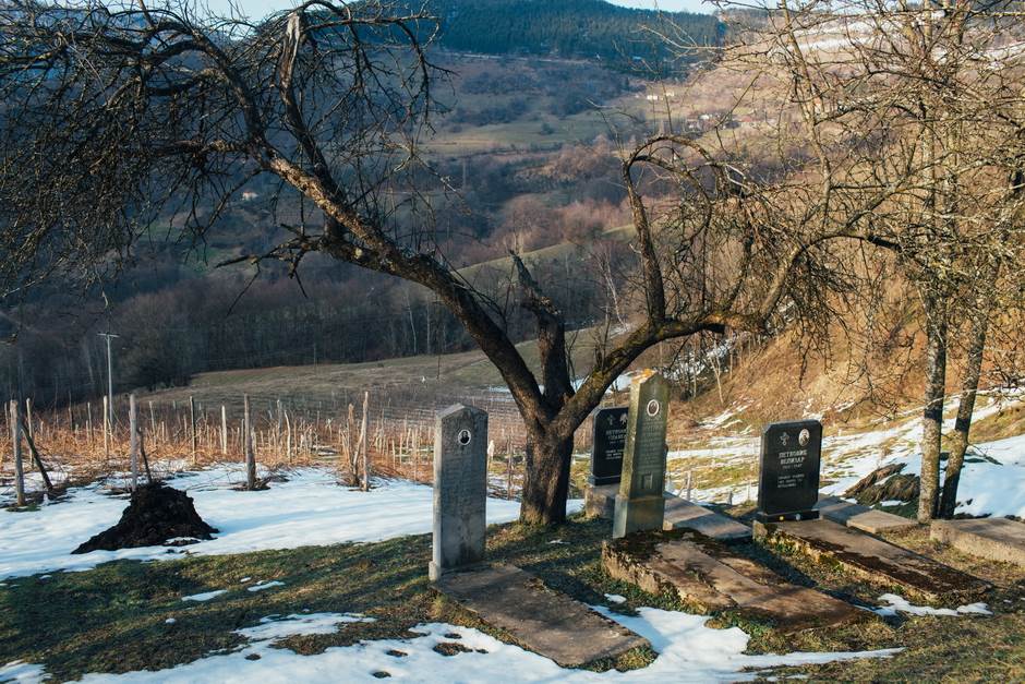 vampir sava savanovic svadja dva sela 