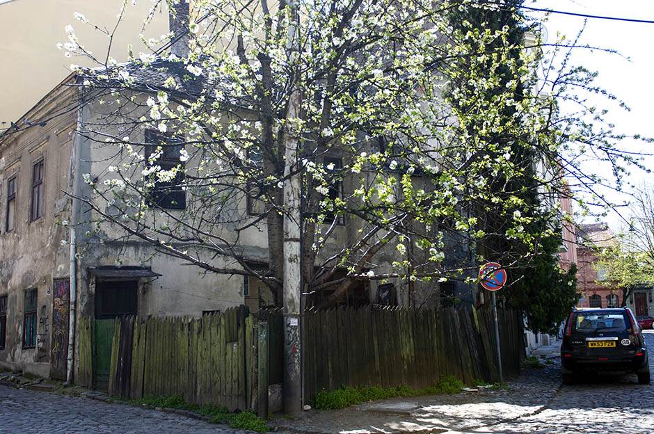 Seka Sablić o Maratoncima