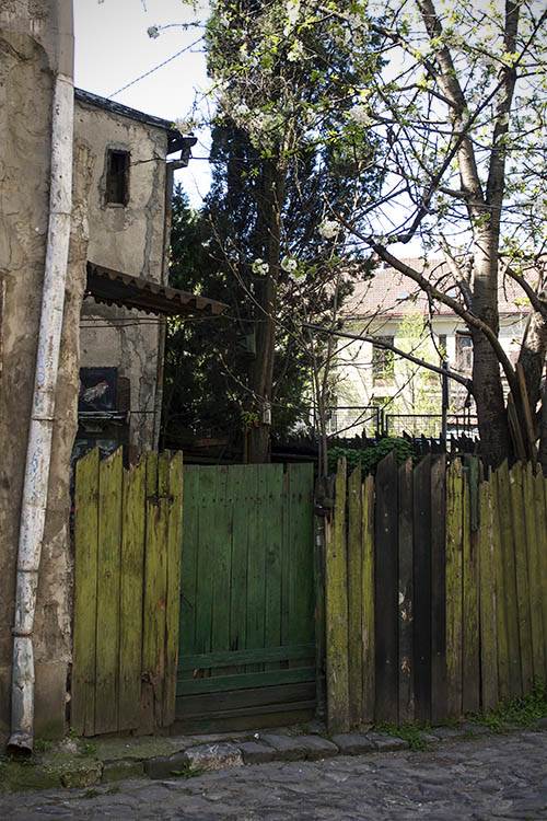 Seka Sablić o Maratoncima