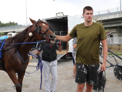 djokovic i nikola jokic ishrana