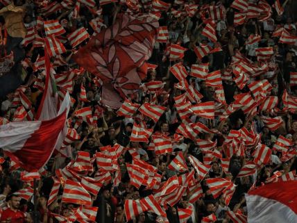 Crvena zvezda Vojvodina uživo prenos livestream Arena Sport