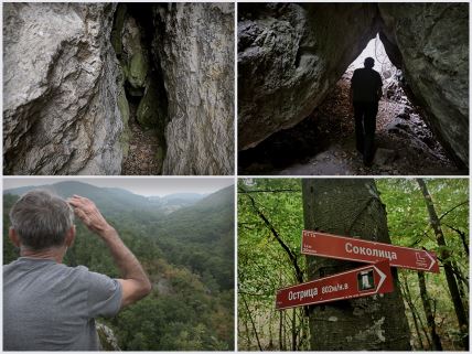 blago-nemanjića,-zmija,-Zmija-čuva-blago-Nemanjića-na-planini-Ostrici,-planina-ostrica