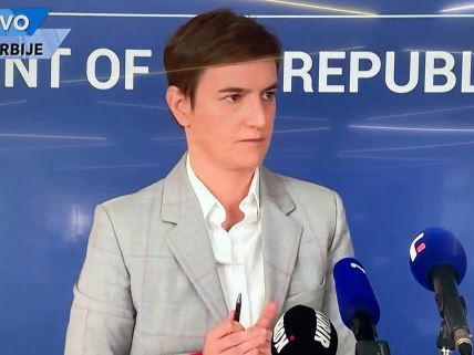 Ana Brnabić (2)