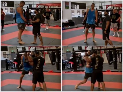 jokić,-mma-trening