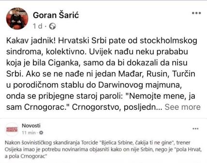 Goran Šarić napao Nenada Bjelicu