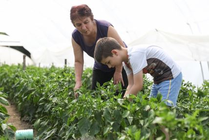 AGRI Babušnica (2)