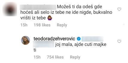 teodora džehverović komentar