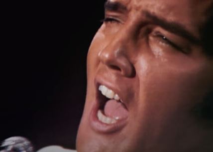 elvis 2.png