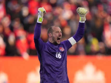 milan borjan