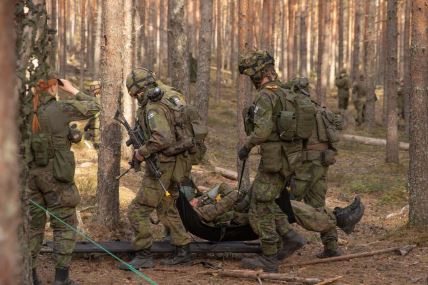 Švedska i Finska armija (10).jpg