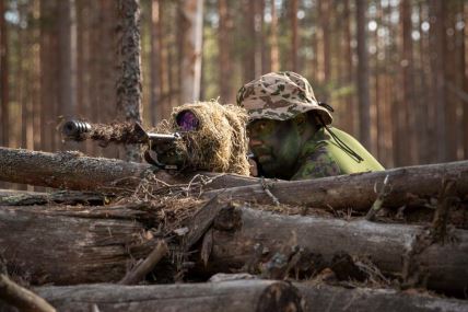 Švedska i Finska armija (11).jpg