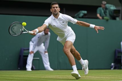 Djokovic Siner (3).jpg