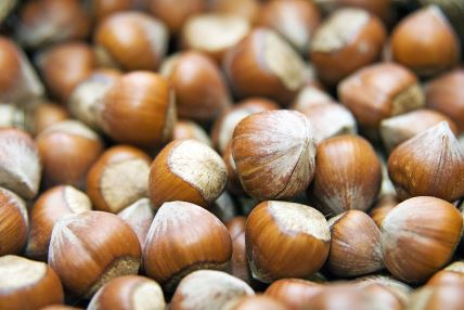 Ordu-Hazelnut_3872x2592px__300 dpi.jpg