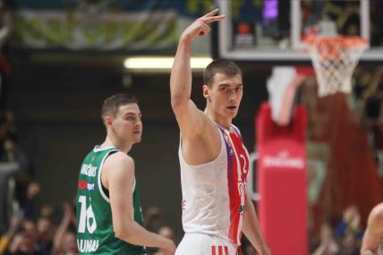 Crvena zvezda Žalgiris uživo prenos livestream Sport klub