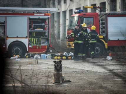 Pozar fabrika Sutjeska vatrogasci (7).jpeg