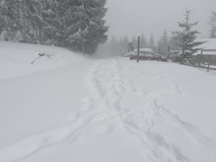 Sneg.jpg