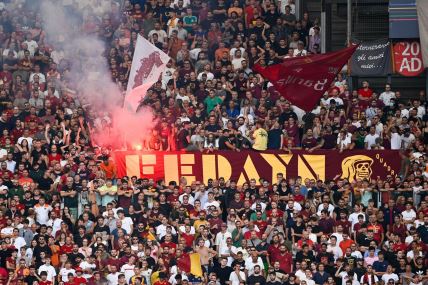 Roma Fedayn