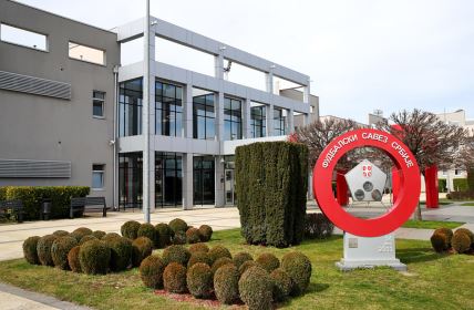 Fudbalski savez srbije izbor predsednika (3).JPG