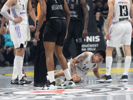 Gabrijel Dek, Partizan Real Madrid