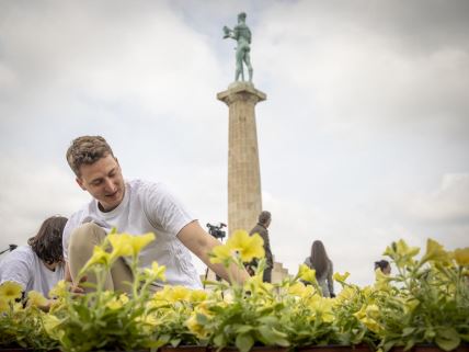 eu_cvetna_instalacija_kalemegdan_ (14).jpg