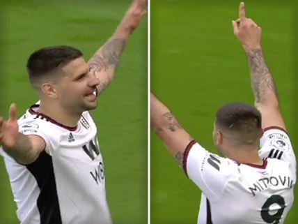 Mitrovic Slavi GOl.jpg