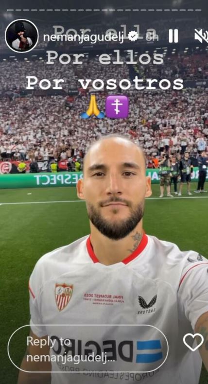 nemanja gudelj instagram