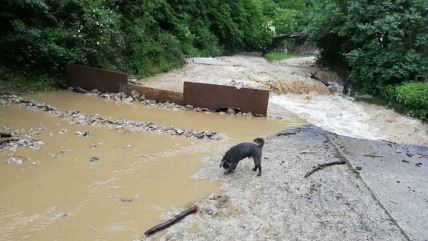 Nevreme u Lučanima  (4).jpg