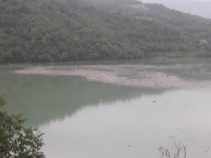 Drina (1).jpg