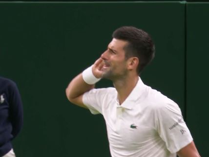 novak djokovic svadja sa navijacem.jpg