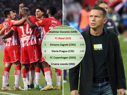 crvena zvezda liga šampiona