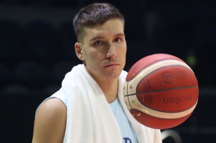 Bogdan Bogdanović