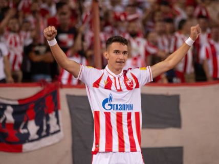 Stefan Mitrović