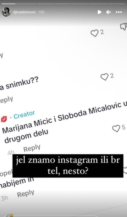 đina džinović instagram