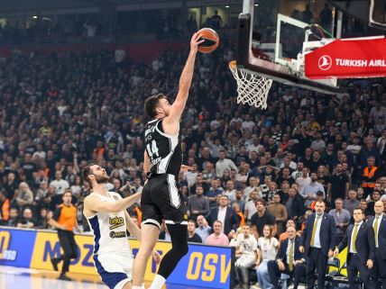 partizan fenerbahče-4(3).JPG