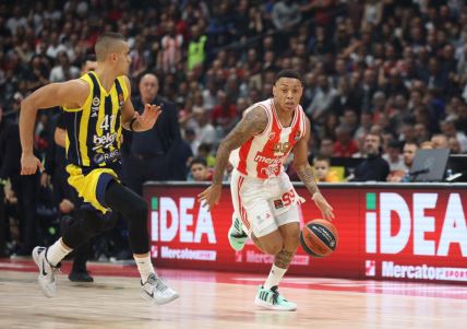 CRVENA ZVEZDA - FENERBAHČE (21) copy.jpg