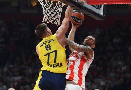 CRVENA ZVEZDA - FENERBAHČE (6).jpg