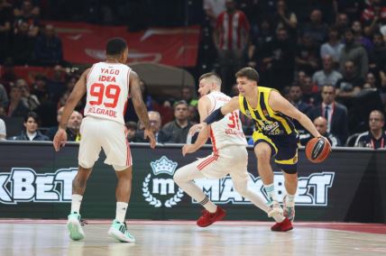 CRVENA ZVEZDA - FENERBAHČE (6).jpg