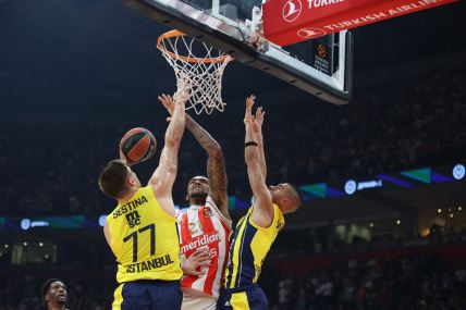 CRVENA ZVEZDA - FENERBAHČE (4).jpg