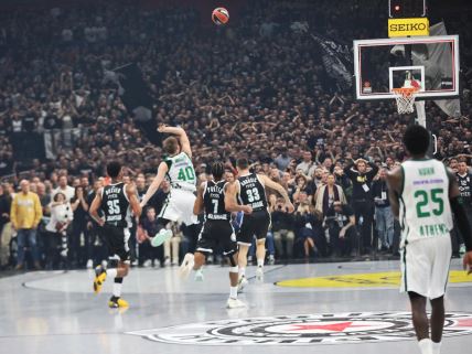 partizan pao-1-2.JPG