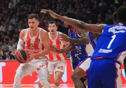 Crvena Zvezda Efes meč (9).JPG