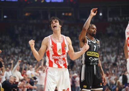 Teodosić i Panter