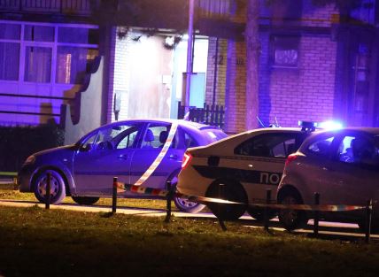 Ubistvo u Borči (9).jpg