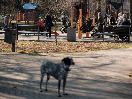 Lepo vreme pokrivalice (10).jpg