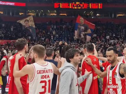 crvena zvezda navijači