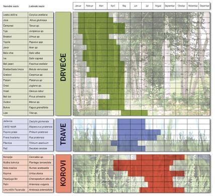 Kalendar cvetanja drveća