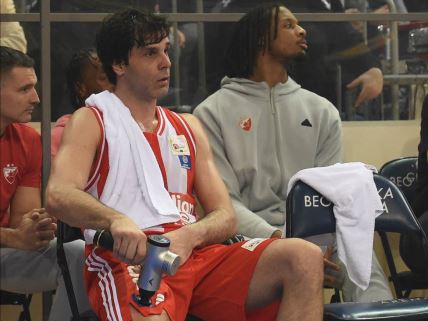 miloš teodosić