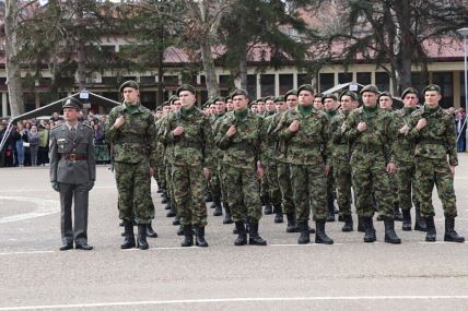 Vojska Srbije (9).jpg